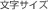 �����T�C�Y